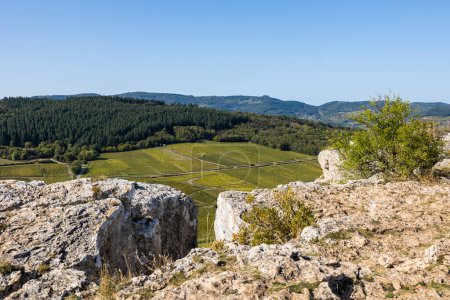 Téléchargez les photos : Paysage des vignobles de la célèbre appellation Pouilly-Fuisse, depuis le sommet de la Roche de Vergisson - en image libre de droit