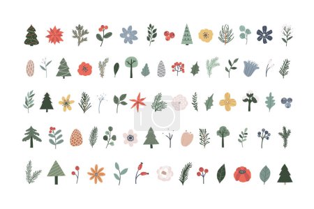 Illustration for Collection of winter Christmas flowers, trees, spruce, pine cones, green leaves. Botanical nature plant, foliage vector illustration - Royalty Free Image