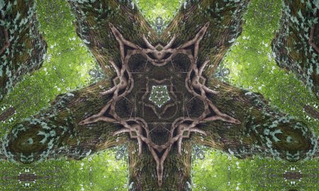 Téléchargez les photos : Kaleidoscope Mandala Circled in wood. Wood, fabrics, crafts, 5-pointed star - en image libre de droit