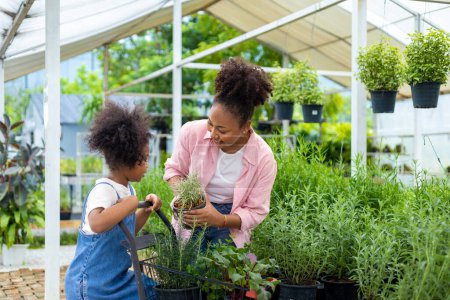 Photo for African mother and daughter is choosing vegetable and herb plant from the local garden center nursery with shopping cart full of summer plant for weekend gardening and outdoor concept - Royalty Free Image