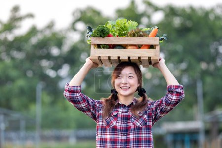 Téléchargez les photos : Une agricultrice asiatique porte le plateau en bois rempli de légumes biologiques fraîchement cueillis au-dessus de sa tête au jardin pour la saison des récoltes et un concept d'alimentation saine - en image libre de droit