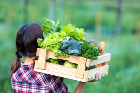 Foto de Mujer agricultora lleva la bandeja de madera llena de verduras orgánicas recién recogidas sobre su cabeza en el jardín para la temporada de cosecha y alimentos saludables para la dieta - Imagen libre de derechos