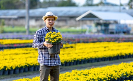 Téléchargez les photos : Asian gardener holding healthy yellow marigold pot while working in his rural field farm for medicinal herb and cut flower business - en image libre de droit