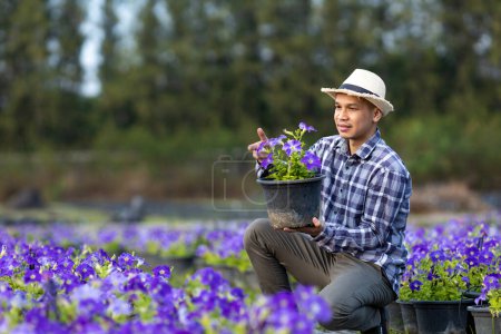 Foto de Asian gardener is inspecting the health and pest control of purple petunia pot while working in his rural field farm for medicinal herb and cut flower business - Imagen libre de derechos