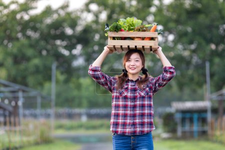 Foto de Mujer asiática agricultora está llevando la bandeja de madera llena de verduras orgánicas recién recogidas sobre su cabeza en el jardín para la temporada de cosecha y la alimentación saludable - Imagen libre de derechos