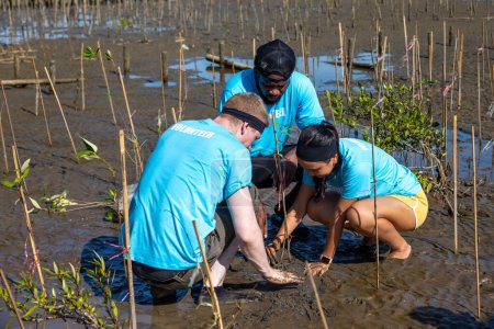 Téléchargez les photos : Une équipe de jeunes et divers groupes de travailleurs bénévoles profitent d'un travail social de bienfaisance en plein air à la plantation de mangroves Un travail d'ONG pour lutter contre le changement climatique et le réchauffement climatique dans un projet d'habitat côtier - en image libre de droit