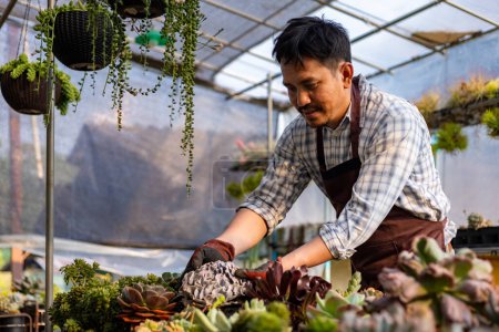 Foto de El jardinero asiático está trabajando dentro del invernadero lleno de plantas suculentas mientras revisa debajo de la hoja en busca de plagas y enfermedades para el jardín ornamental y hobby de ocio. - Imagen libre de derechos