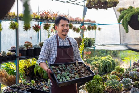 Foto de Jardinero asiático está trabajando dentro del invernadero lleno de plantas suculentas colección mientras se propaga por método de corte de hojas para jardín ornamental y ocio hobby concepto - Imagen libre de derechos