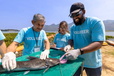 Foto de Equipo de voluntarios ecologistas sacando micro plástico no biodegradable de las especies en peligro de extinción debido a los residuos irresponsables que se depositan en el océano para el cambio climático y salvar la naturaleza - Imagen libre de derechos