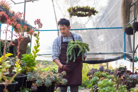 Foto de Jardinero asiático está trabajando dentro del invernadero lleno de plantas suculentas colección mientras sostiene una olla saludable para jardín ornamental y ocio hobby - Imagen libre de derechos