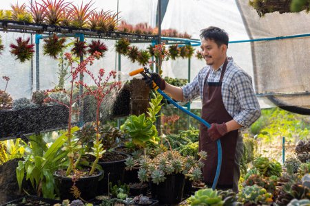 Foto de Jardinero asiático está regando su planta suculenta dentro de su invernadero utilizando manguera para hobby y jardín ornamental concepto de negocio - Imagen libre de derechos