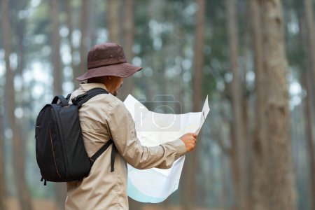 Photo for Naturalist looking at the map for direction while exploring wildlife in the pine forest for surveying and discovering the rare biological diversity and ecologist on the field study - Royalty Free Image