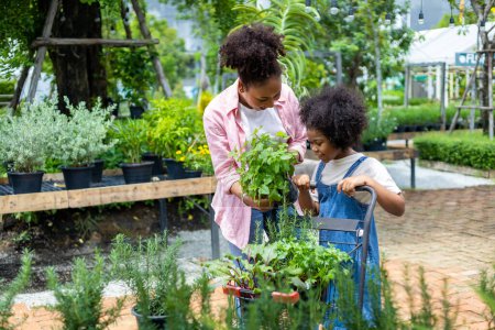 Téléchargez les photos : African mother and daughter is choosing vegetable and herb plant from the local garden center nursery with shopping cart full of summer plant for weekend gardening and outdoor - en image libre de droit