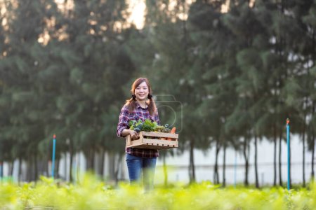 Foto de Mujer asiática agricultora está llevando la bandeja de madera llena de verduras orgánicas recién recogidas en su jardín para la temporada de cosecha y alimentos saludables - Imagen libre de derechos