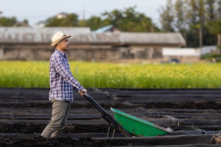 Téléchargez les photos : Agriculteur asiatique utilisant brouette pour mettre du compost dans de nouveaux potagers biologiques lit surélevé préparer les cultures d'été et les plantes pour l'agriculture et la durabilité - en image libre de droit