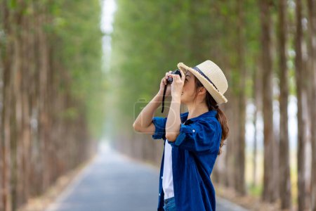 Photo for Asian tourist woman is taking photo using professional camera while having vacation at the national park while walking on the road with column of tree for travel and photography - Royalty Free Image