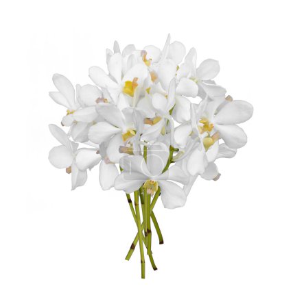 Photo for Bouquet of cut out white dendrobium orchid stem flower isolated on white background - Royalty Free Image