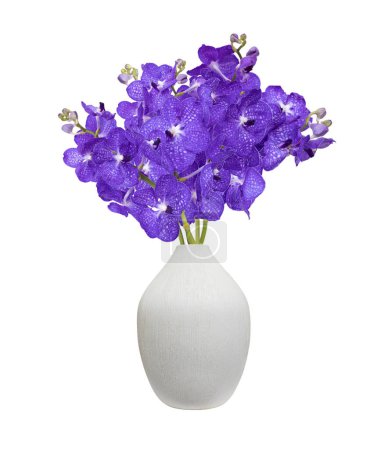 Téléchargez les photos : Bouquet de vanda bleu coupé tige d'orchidée dans le vase blanc isolé sur fond blanc pendant la saison estivale pour la décoration de la maison - en image libre de droit