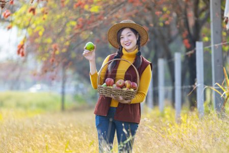 Foto de Chica agricultora asiática feliz llevando cesta de la cosecha de productos con manzana orgánica de cosecha propia con el color de la caída del árbol de arce durante la temporada de otoño - Imagen libre de derechos