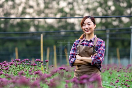 Foto de Jardinero asiático sosteniendo tijeras de jardín mientras trabajaba en la granja de crisantemo púrpura para el negocio de flores cortadas - Imagen libre de derechos