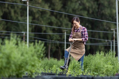 Foto de Retrato de mujer asiática agricultora lleva tenedor de jardín mientras está de pie en su granja de verduras de campo durante la temporada de primavera para una alimentación saludable - Imagen libre de derechos