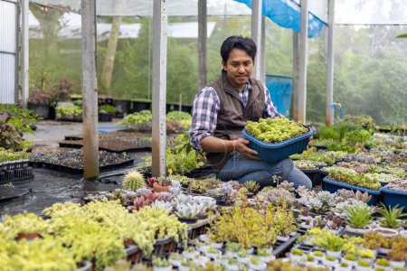 Foto de Jardinero asiático está trabajando dentro del invernadero lleno de plantas suculentas colección mientras se propaga por método de corte de hojas para jardín ornamental y ocio hobby - Imagen libre de derechos