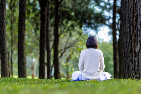 Téléchargez les photos : Femme pratiquant la méditation relaxante dans la forêt de pins pour atteindre le bonheur de la paix intérieure sagesse avec la lumière du matin pour un esprit sain et l'utilisation de l'âme - en image libre de droit