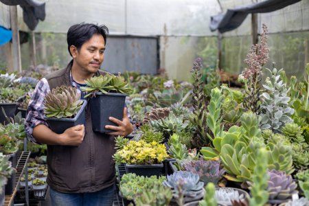 Foto de Jardinero asiático está trabajando dentro del invernadero lleno de plantas suculentas colección mientras que la celebración de olla saludable para jardín ornamental y ocio hobby concepto - Imagen libre de derechos