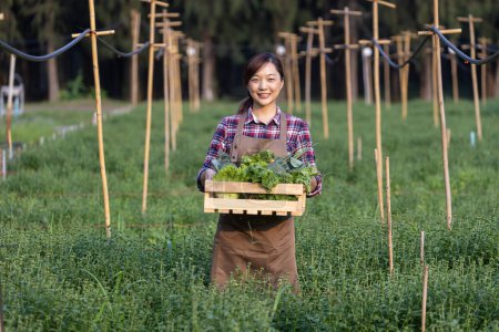 Foto de Mujer asiática agricultora está llevando bandeja de madera llena de verduras orgánicas recién recogidas en su jardín para la temporada de cosecha y dieta saludable concepto de alimentos - Imagen libre de derechos
