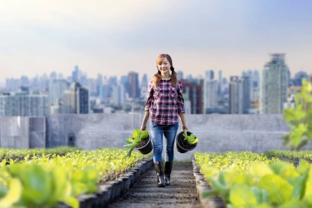 Téléchargez les photos : Femme jardinière asiatique cultive des légumes biologiques tout en travaillant à l'agriculture urbaine sur le toit pour le jardinage durable de la ville sur un espace limité pour réduire la pollution par l'empreinte carbone et la sécurité alimentaire - en image libre de droit
