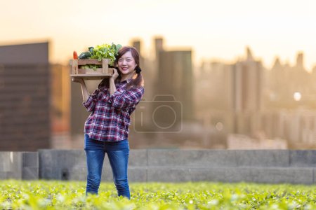Téléchargez les photos : Femme jardinière asiatique récolte des légumes biologiques tout en travaillant à l'agriculture urbaine sur le toit pour le jardinage durable de la ville sur un espace limité pour réduire la pollution par l'empreinte carbone et la sécurité alimentaire - en image libre de droit