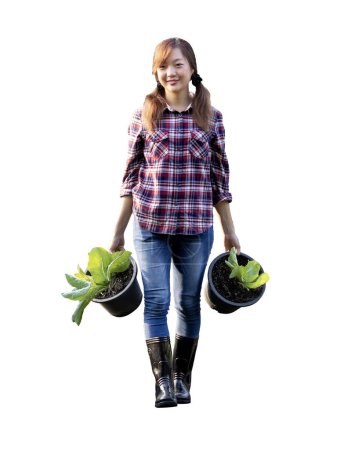 Foto de Mujer asiática jardinero está llevando olla de lechuga ensalada para verduras orgánicas de cosecha propia productos de jardín y granja agrícola aislado en el fondo blanco - Imagen libre de derechos