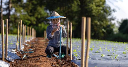 Téléchargez les photos : Agriculteur asiatique fixe l'eau du robinet pour le système d'irrigation dans la ferme de légumes biologiques - en image libre de droit