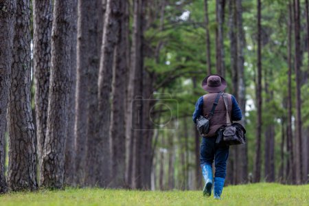 Téléchargez les photos : Le garde forestier du parc biologiste patrouille dans la forêt de conifères à feuilles persistantes pour surveiller l'utilisation des organismes végétaux indigènes et envahissants et la sécurité alimentaire - en image libre de droit