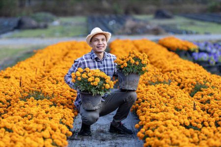 Photo for Asian gardener is inspecting health and pest control of orange marigold pot while working in his rural field farm for medicinal herb and cut flower business - Royalty Free Image