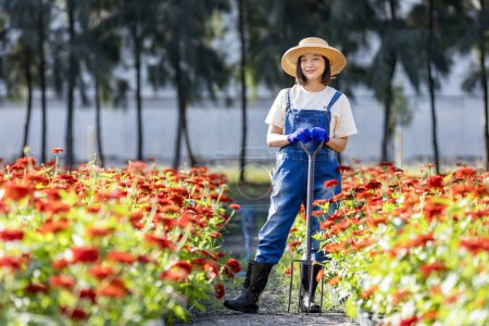 Téléchargez les photos : Femme asiatique jardinier travaille dans la ferme exploitation fourche de jardin parmi le champ de zinnia rouge pour les entreprises de fleurs coupées - en image libre de droit