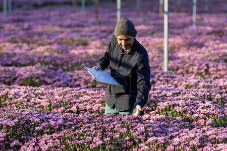 Foto de Agricultor asiático está tomando nota utilizando tablón de recortes sobre el crecimiento y la salud del crisantemo rosa mientras trabaja en su granja de campo rural para la hierba medicinal y flor cortada - Imagen libre de derechos