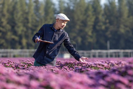 Foto de Agricultor asiático está tomando nota utilizando portapapeles sobre el crecimiento y la salud del crisantemo rosa mientras trabaja en su granja de campo rural para la hierba medicinal y flor cortada - Imagen libre de derechos