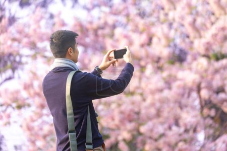 Téléchargez les photos : Asiatique homme prend des photos à l'aide de téléphone portable tout en marchant dans le parc à cerisier arbre en fleur pendant le printemps festival sakura avec de l'espace - en image libre de droit