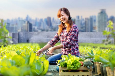 Foto de Mujer asiática jardinero está cosechando verduras orgánicas mientras trabaja en la agricultura urbana en la azotea ciudad futurista jardinería sostenible en un espacio limitado para reducir la huella de carbono y la seguridad alimentaria - Imagen libre de derechos