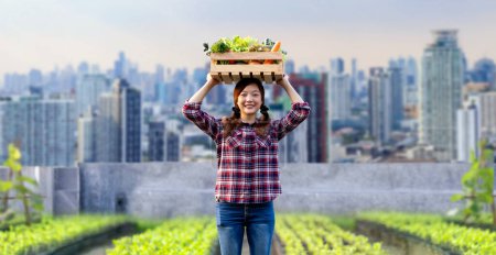 Asian woman gardener is harvesting organic vegetables while working at rooftop urban farming futuristic city sustainable gardening on the limited space to reduce carbon footprint and food security