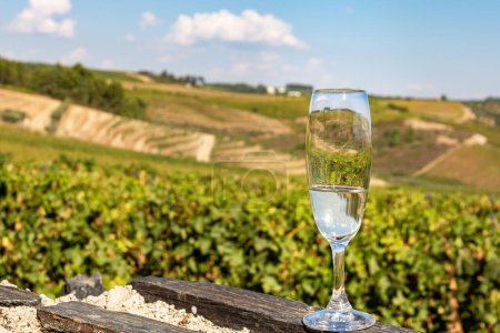 Photo for Glass of sparkling white wine on a Douro valley vineyard background. Muscatel culture in Portugal. - Royalty Free Image