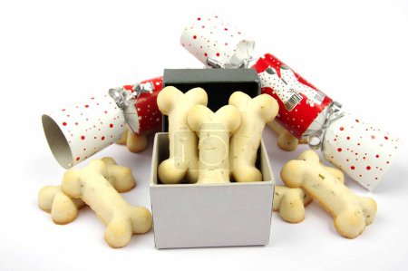 Téléchargez les photos : Biscuit pour chien de Noël présente avec une boîte de présentation et craquelins de Noël sur un fond blanc - en image libre de droit