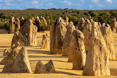 Téléchargez les photos : Pinnacles Desert, Nambung National Park Australie-Occidentale - en image libre de droit