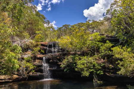Foto de Cascada y encías de agua en flor, Parque Nacional Real, Sydney Australia - Imagen libre de derechos