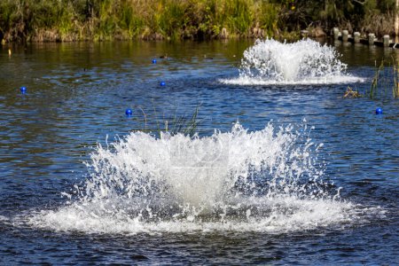 Wasserfontänen in Feuchtgebieten sorgen für Belüftung, um ein gesundes und vorteilhaftes Algenwachstum durch Erhöhung des Sauerstoffgehalts zu fördern