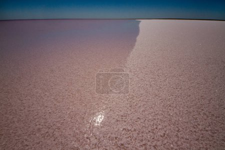 Foto de Borde del agua en la cuenca salina del lago Eyre - Imagen libre de derechos