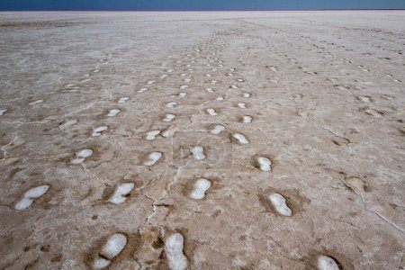 Huellas de pies en la llanura de sal del lago Eyre