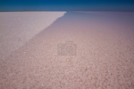 Foto de Borde del agua en la cuenca salina del lago Eyre - Imagen libre de derechos