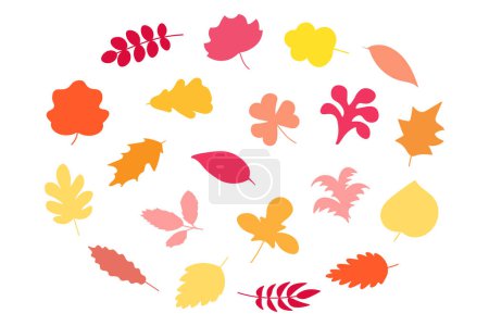 Collection of autumn hand drawn foliage. Tree leaves, herbarium set. Colorful orange yellow red last year leaves. Cartoon flat vector icons isolated on white background